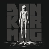Pitbull Terrier - Die Antwoord