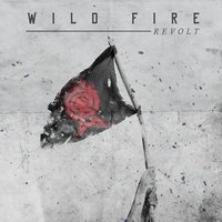 I Need a Surgeon - Wild Fire