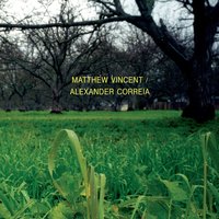 Muslin - Matthew Vincent, The American Scene