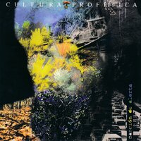 Population Disorder - Cultura Profética