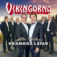 Den stora dagen - Vikingarna