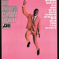Something Within Me - Wilson Pickett Jr.