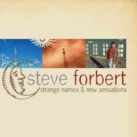 Something Special - Steve Forbert