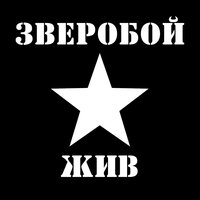 Время года - Зверобой