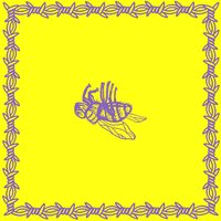 Prism - Milk Teeth