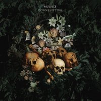 Беги, кролик, беги! - Mujuice