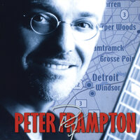 If You Say Goodbye - Peter Frampton