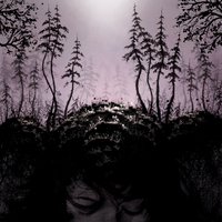 Stranger - Birds Of Passage