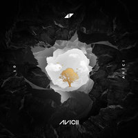 You Be Love - Avicii, Billy Raffoul