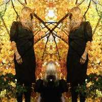 Lose It - Austra