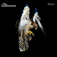Bojangles - The Courteeners