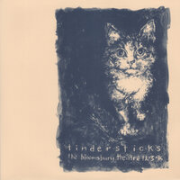 Tiny Tears - Tindersticks