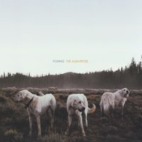 Quietus - Foxing
