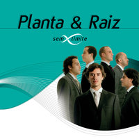 É Preciso Perdoar - Planta e Raiz