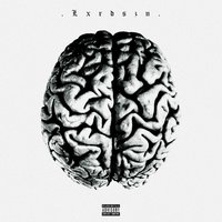 Nx Survivxrs - Scarlxrd