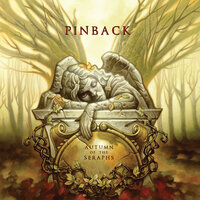 Devil You Know - Pinback