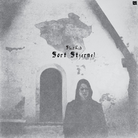Fall into place - ShitKid