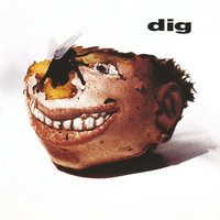 Anymore - Dig