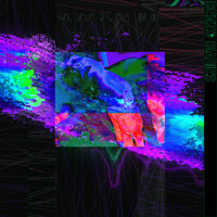 Designer - T-Low