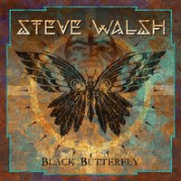 Hell or High Water - Steve Walsh