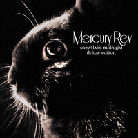 People Are So Unpredictable (There's No Bliss Like Home) - Mercury Rev