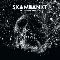 Stein For Stein - Skambankt