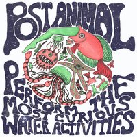 Goggles - Post Animal