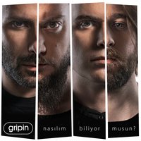Bir Sebep Söyle Bana - Gripin