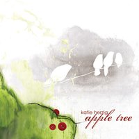 Wish You Well - Katie Herzig