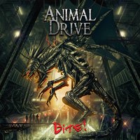 Had Enough - Animal Drive