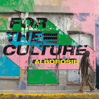 The System - Alborosie