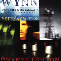 Amphetamine - Steve Wynn, The Miracle 3