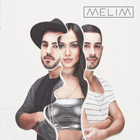 Transmissão De Pensamento - Melim