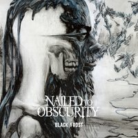 Road to Perdition - Nailed To Obscurity
