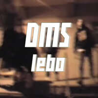 Lebo - DMS