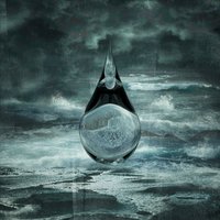 Without the World - Birds Of Passage