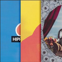 Things You Never Did - Momus