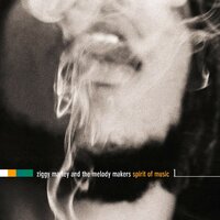 Jah Will Be Done - Ziggy Marley And The Melody Makers