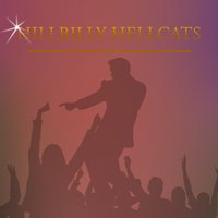 Cats Like Us - Hillbilly Hellcats
