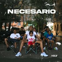 Necesario - M.D. L.R
