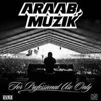 Getting 2 the Point - Araabmuzik
