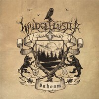 Am Wendelstoa - Waldgeflüster