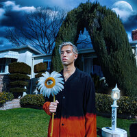 Daisies - Ryan Caraveo