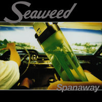 Not Saying Anything - Seaweed