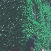 all i ever will be - guardin