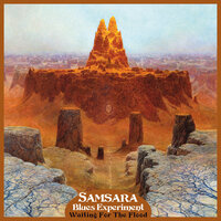 Shringara - Samsara Blues Experiment