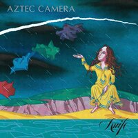 Imperfectly - Aztec Camera
