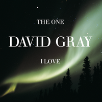 Going In Blind - David Gray