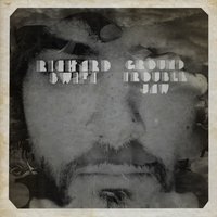 Would You? - Richard Swift