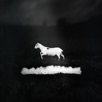 Vanishing Beauties - Les Discrets